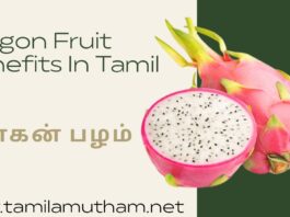 DRAGON FRUITS BENEFITS IN TAMIL