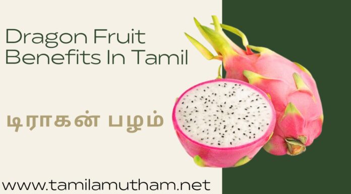 DRAGON FRUITS BENEFITS IN TAMIL