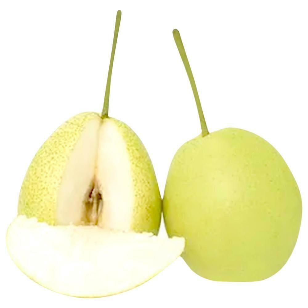 INDIAN PEARS BENEFITS IN TAMIL