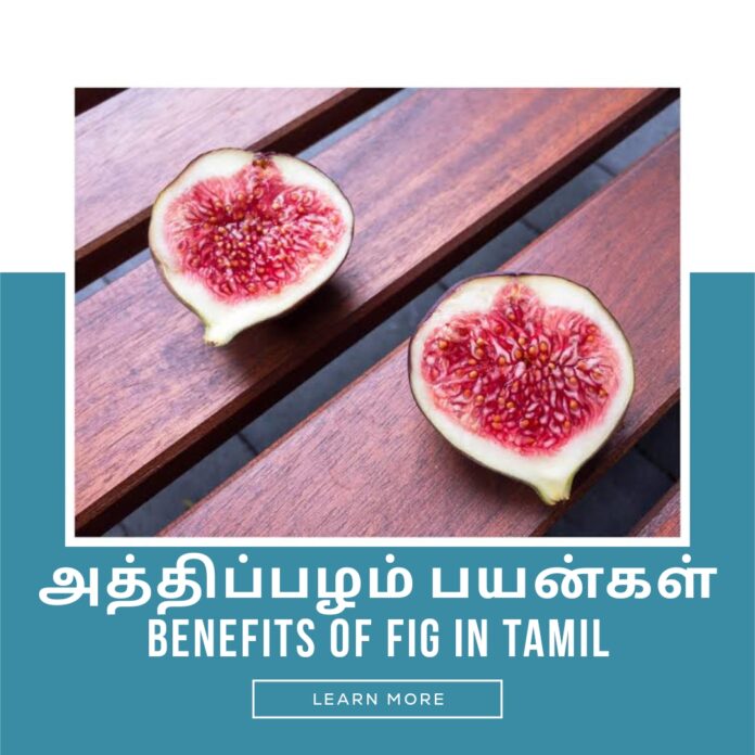 BENEFITS OF ATHIPAZHAM (FIG FRUITS) IN TAMIL