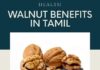 WALNUT BENEFITS IN TAMIL 1