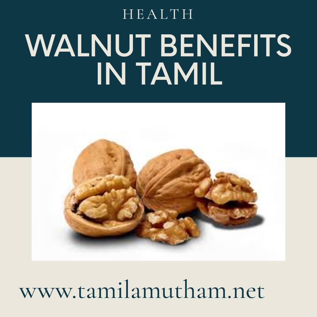 WALNUT BENEFITS IN TAMIL 1