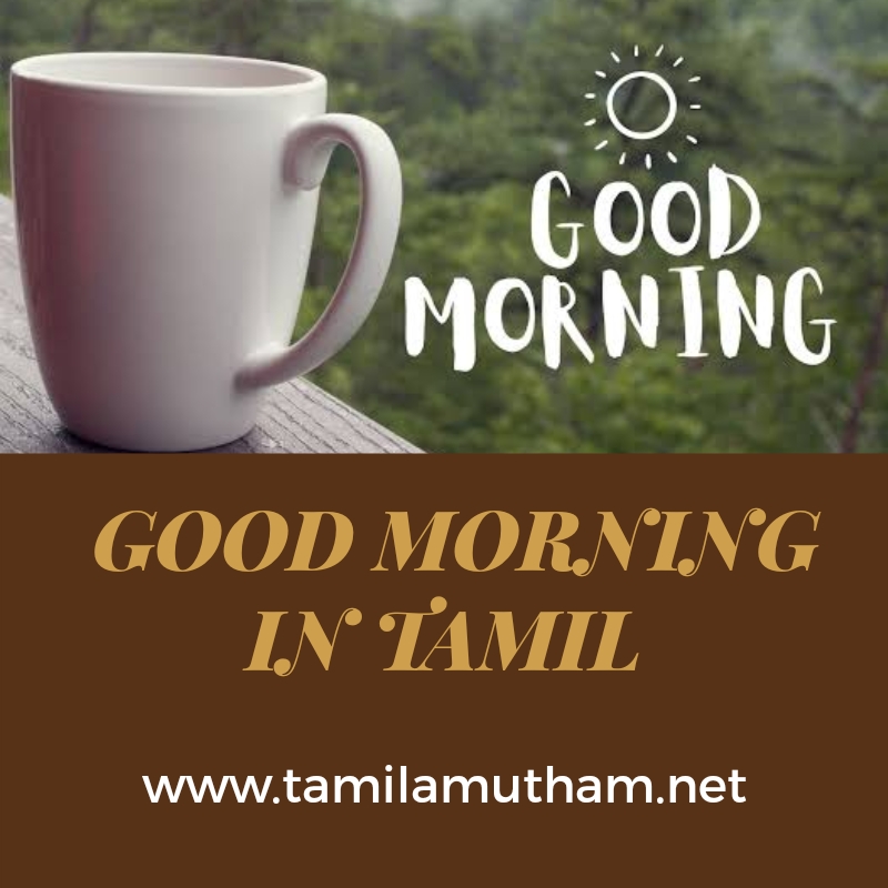 GOOD MORNING IN TAMIL 2023 / தமிழில் காலை வணக்கம்