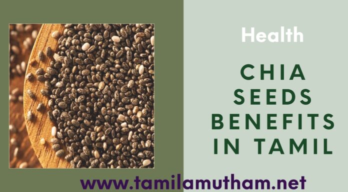 CHIA SEEDS IN TAMIL