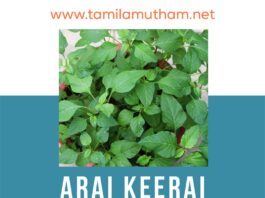ARAI KEERAI BENEFITS IN TAMIL