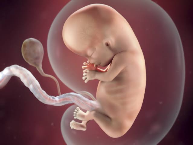 PREGNANCY SYMPTOMS IN TAMIL