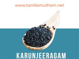 KARUNJEERAGAM BENEFITS IN TAMIL 2023: கருஞ்சீரகம் பலன்கள்