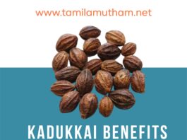 KADUKKAI BENEFITS IN TAMIL 2023: கடுக்காய் பலன்கள்