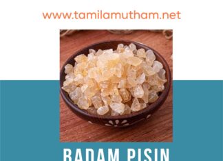 BADAM PISIN BENEFITS IN TAMIL 2023: பாதாம் பிசின் பலன்கள்