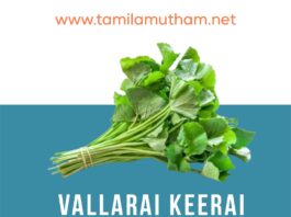 VALLARAI KEERAI BENEFITS IN TAMIL 2023: வல்லாரை கீரை பலன்கள்